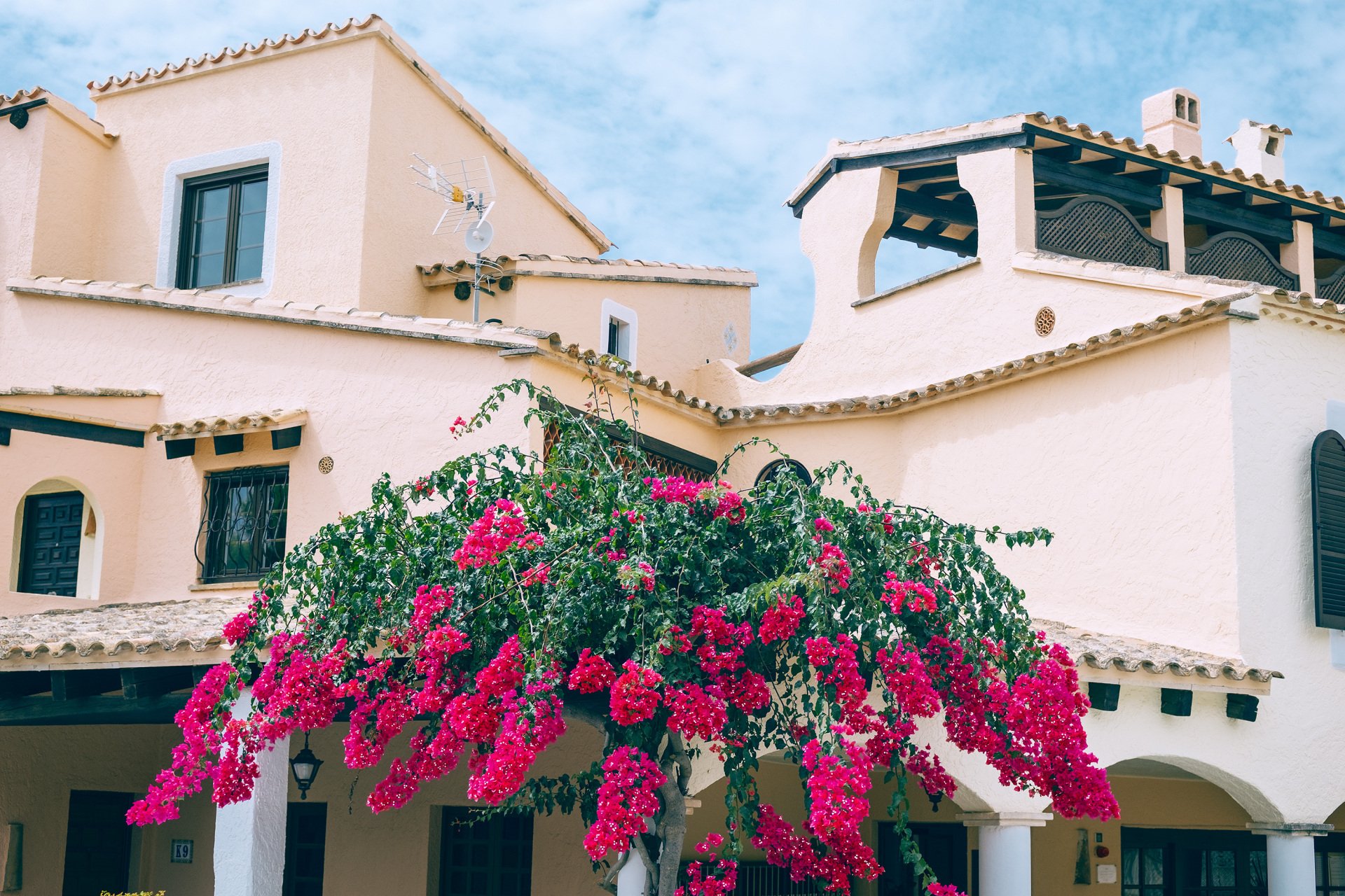 Edificio de fachadas claras con tejados de teja, terraza cubierta, ventanas y arcos, con una planta de abundantes flores rosas en primer plano.