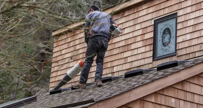 limpieza anual de tejados al mejor precio económico en san Andrés del Rabanedo